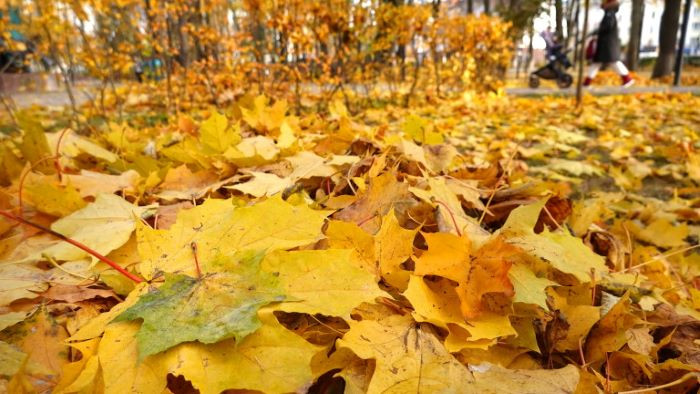 Днес на места в планинските и източните райони от страната ще